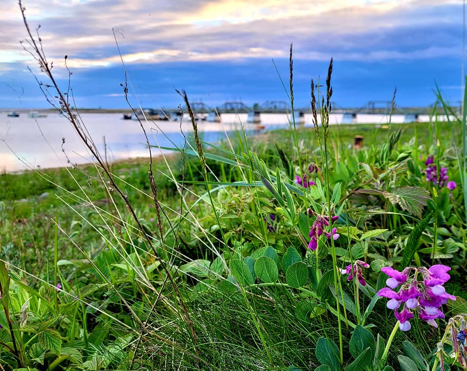 Brygga bakgrund Mia 2021.jpg