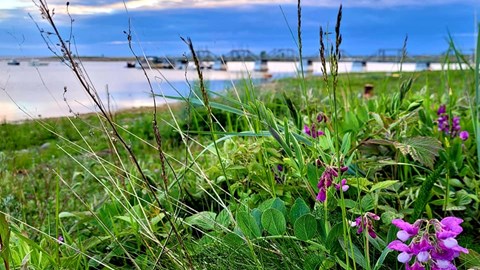 Brygga bakgrund Mia 2021.jpg