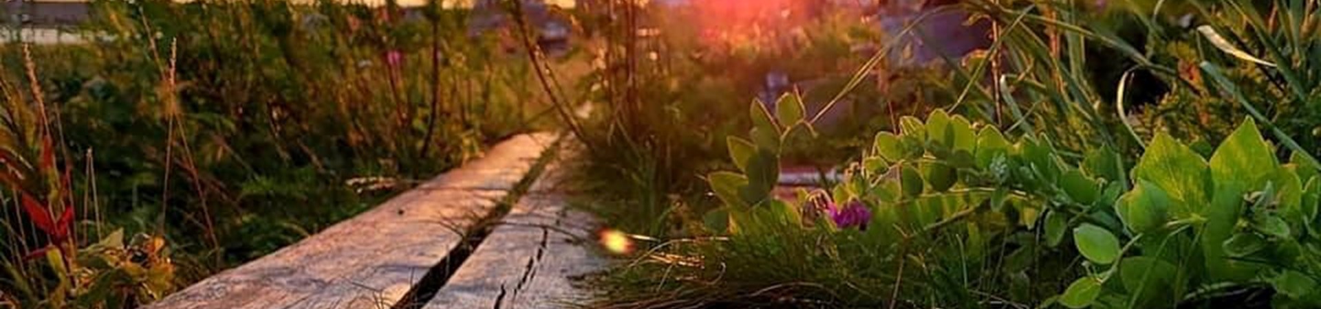 landgång Rifta Mia.jpg