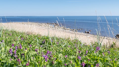05 maloren-mas-strandvial-strandrag-havet-1080x1350.jpg