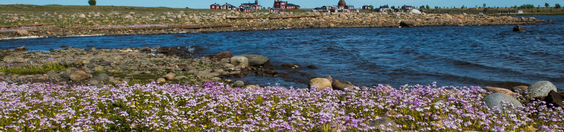 Strandviva Jörgen Naalisvaara panorama.jpg